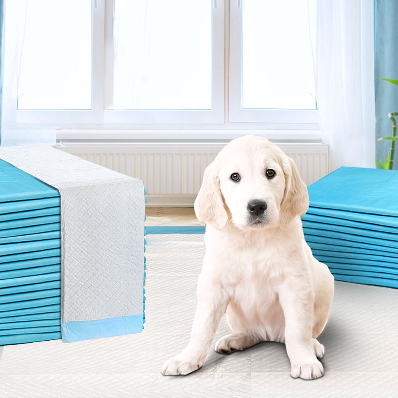 400pcs Puppy Dog Pet Training Pads Cat Toilet 60 x 60cm Super Absorbent Indoor Disposable